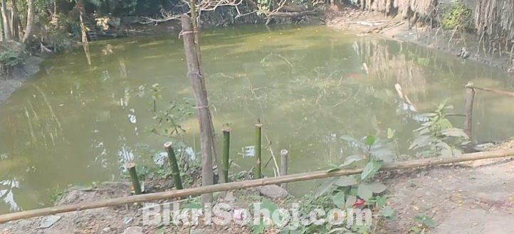 Land for sale 5,00,000 per shotok total land 3.5 shotok